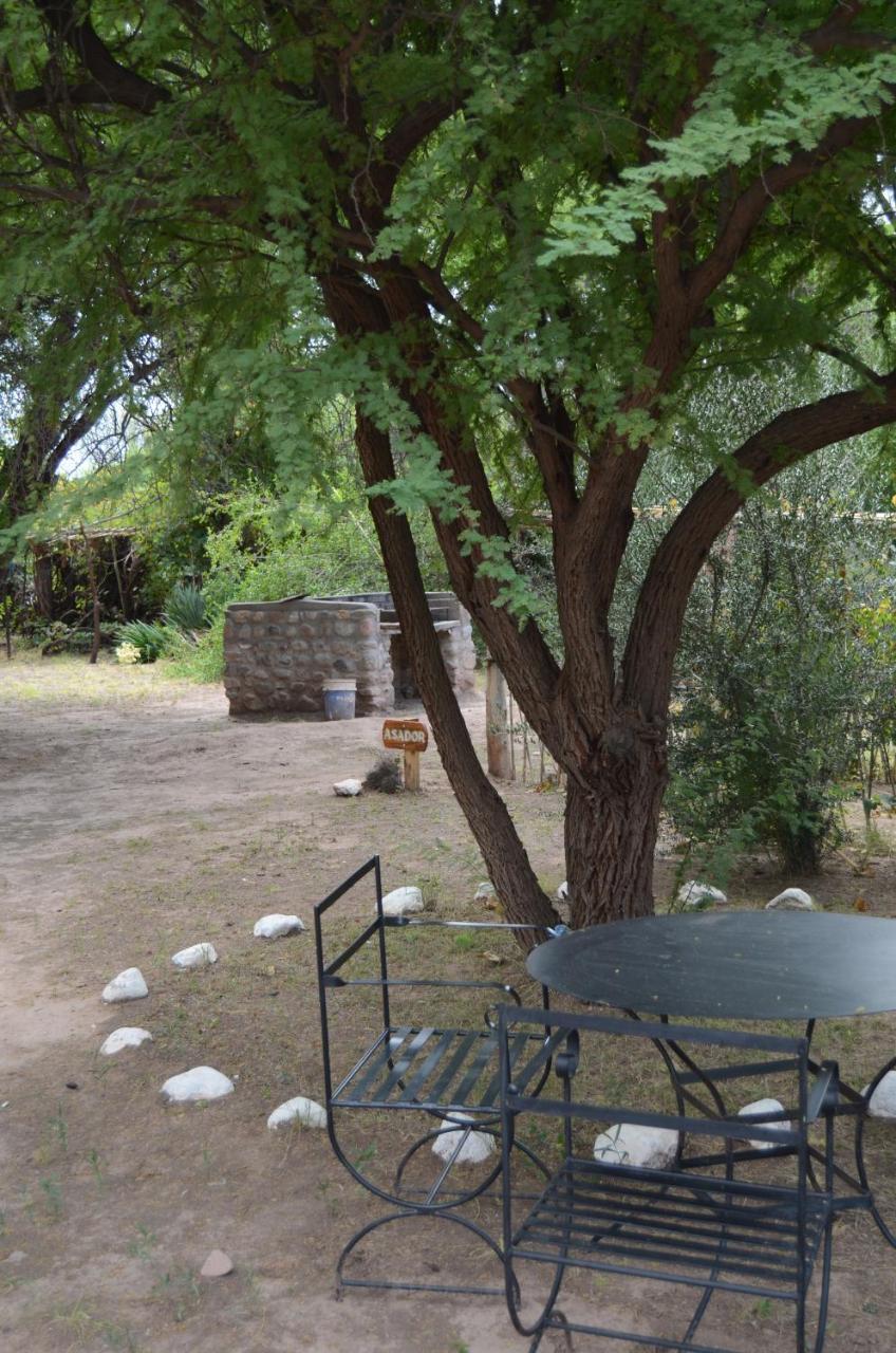 El Zorro Gris Villa Tinogasta Exterior photo